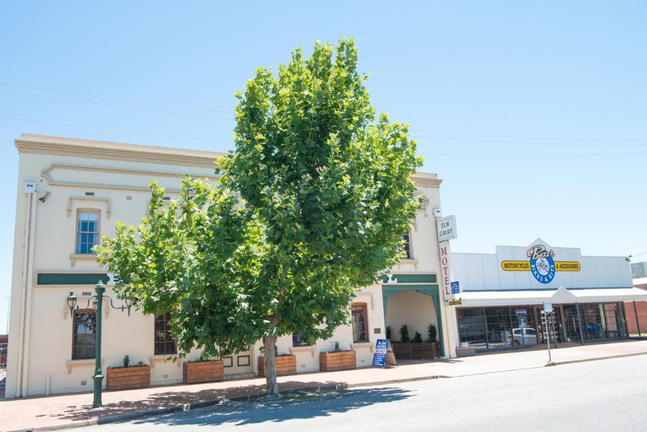 Elm Court Motel Albury Extérieur photo