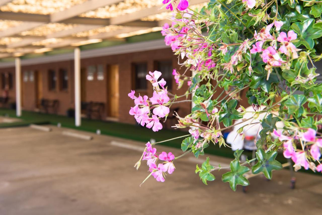 Elm Court Motel Albury Extérieur photo