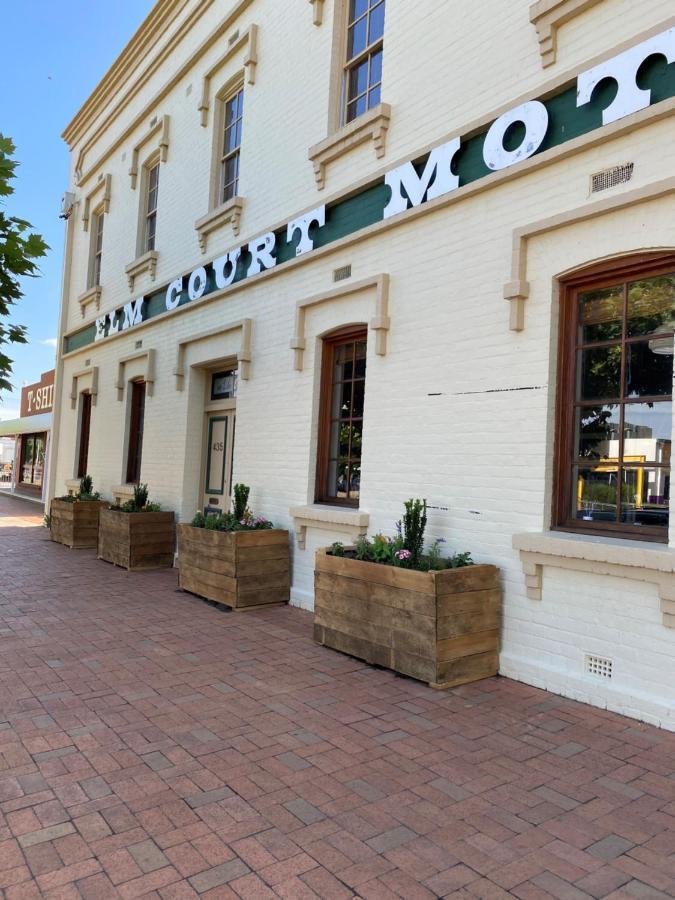 Elm Court Motel Albury Extérieur photo