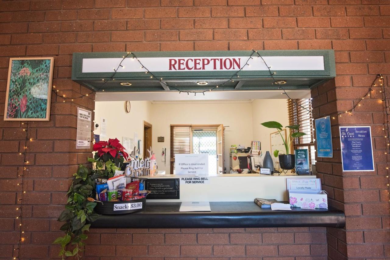 Elm Court Motel Albury Extérieur photo