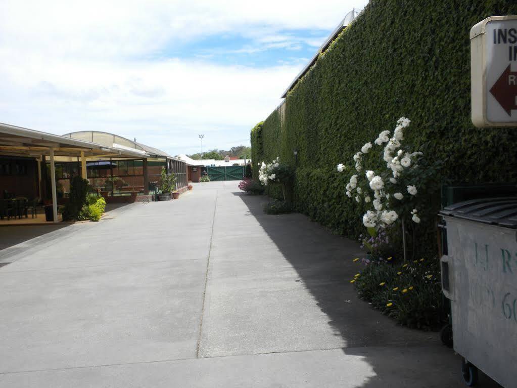 Elm Court Motel Albury Extérieur photo